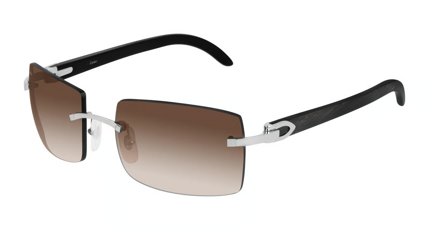 Cartier CT0024RS Sunglasses
