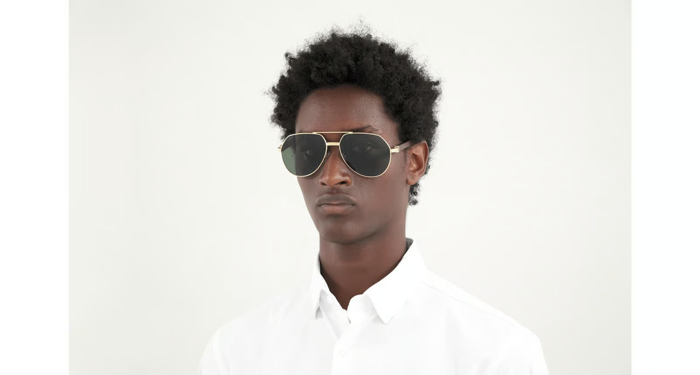 Cartier CT0272S Sunglasses