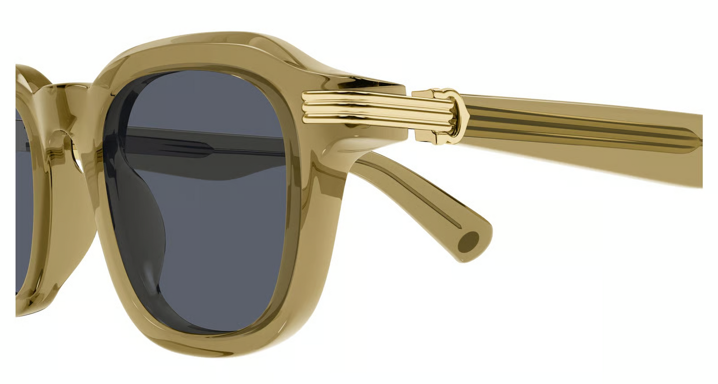 Cartier CT0536S Sunglasses