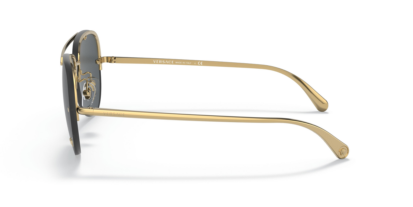 Versace VE2231 Sunglasses