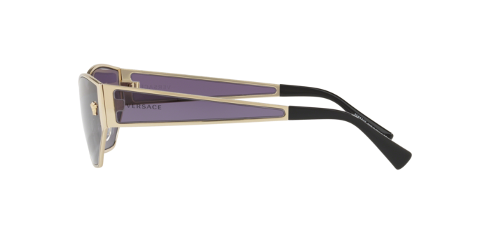 Versace VE2205 Sunglasses