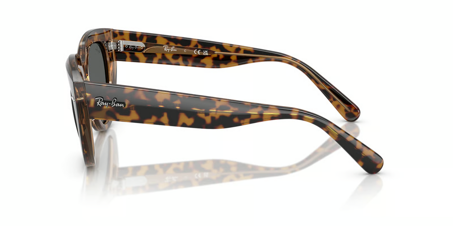 Ray-Ban RB2286F Doreen Sunglasses