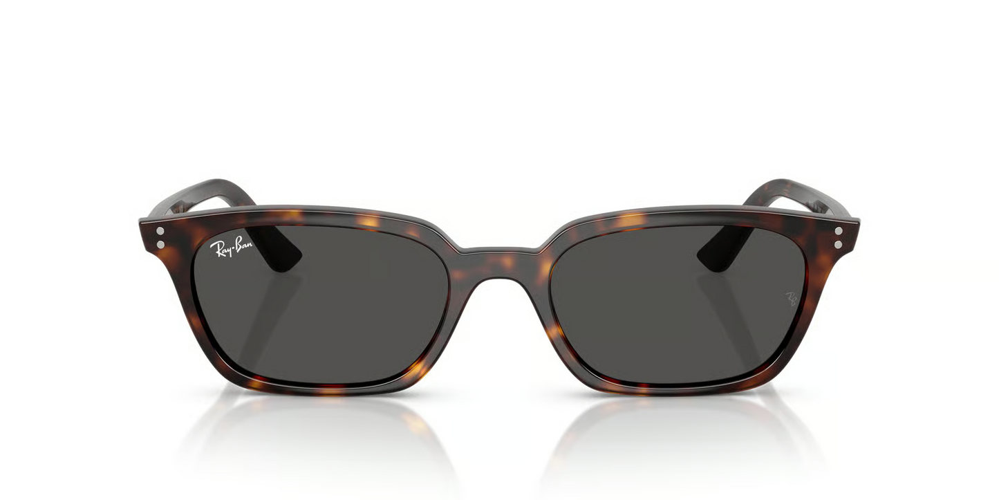 Ray-Ban RB4456F Zaya Sunglasses
