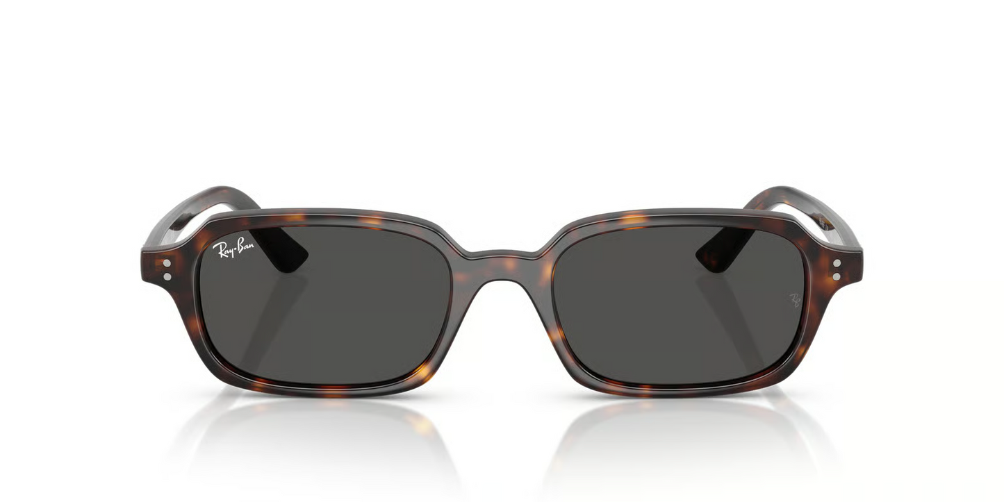 Ray-Ban RB4455F Zuri Sunglasses