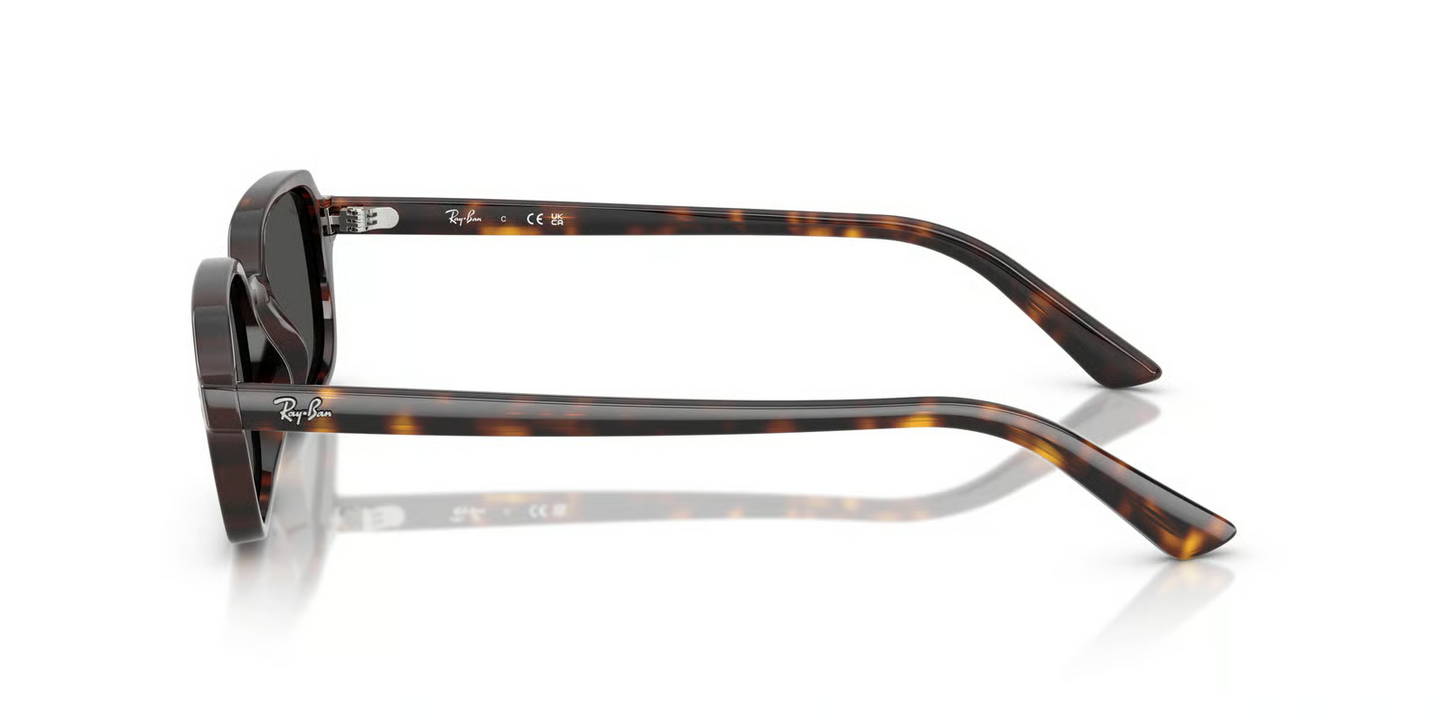 Ray-Ban RB4455F Zuri Sunglasses