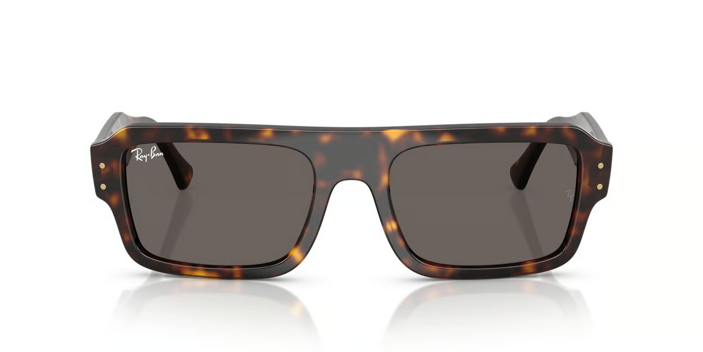 Ray-Ban RB4454F Flacko Sunglasses