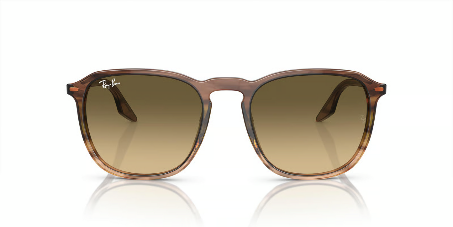 Ray-Ban RB2203 Sunglasses