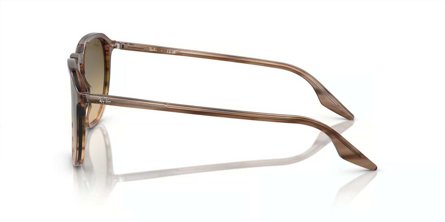 Ray-Ban RB2203 Sunglasses