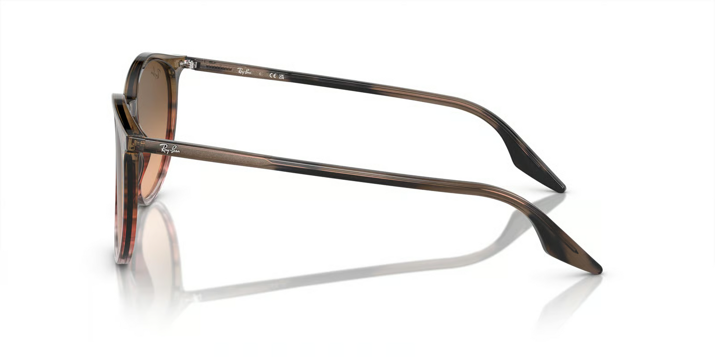 Ray-Ban RB2204 Sunglasses