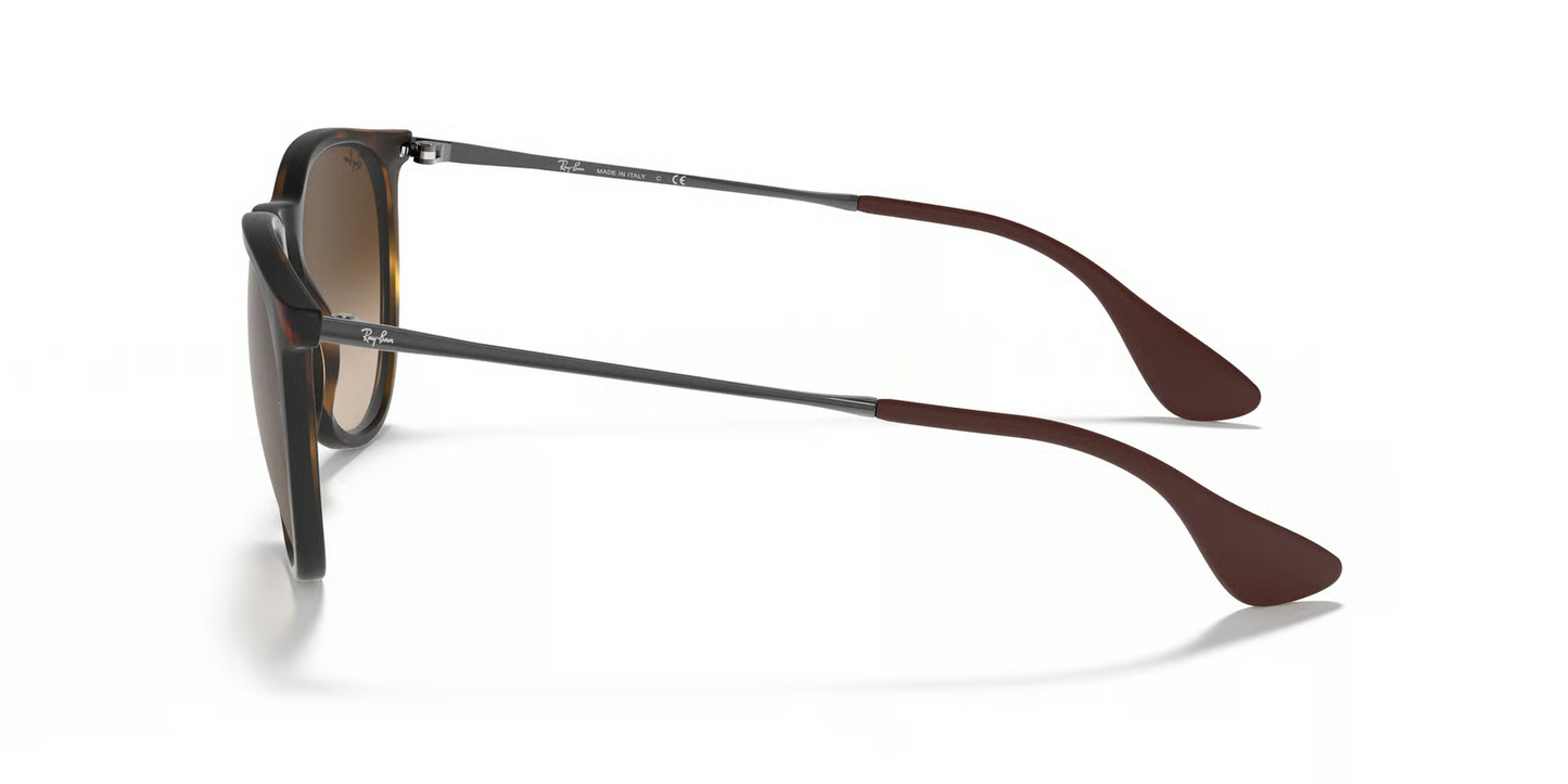 Ray-Ban RB4171 Erika Sunglasses