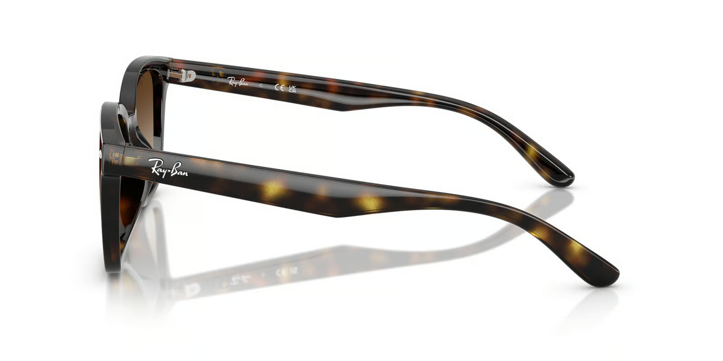 Ray-Ban RB4461D Sunglasses