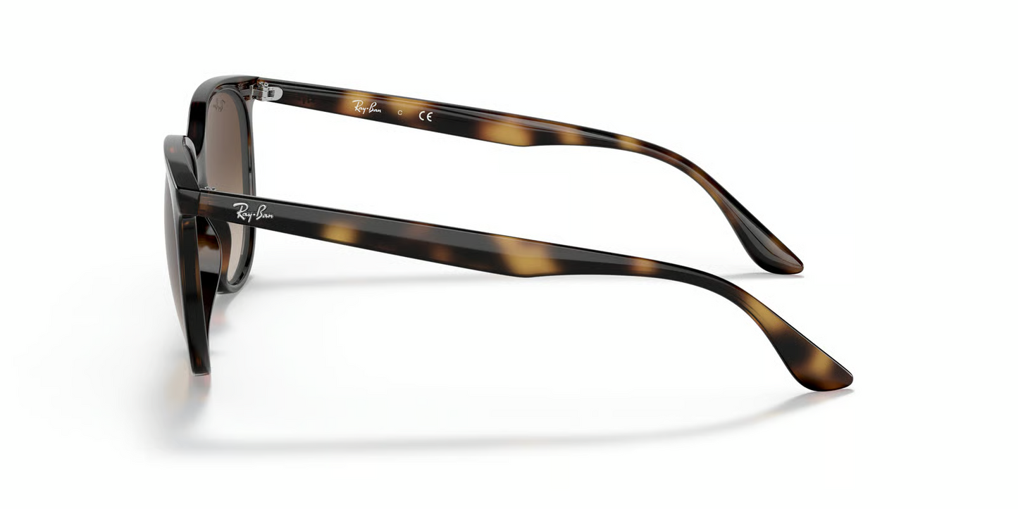 Ray-Ban RB4378 Sunglasses