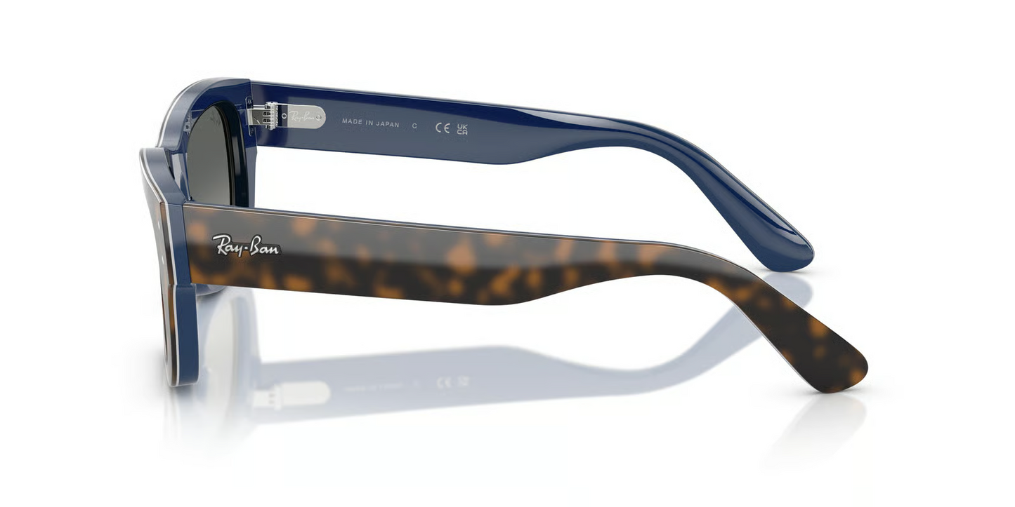 Ray-Ban RB7683S Joseph Sunglasses