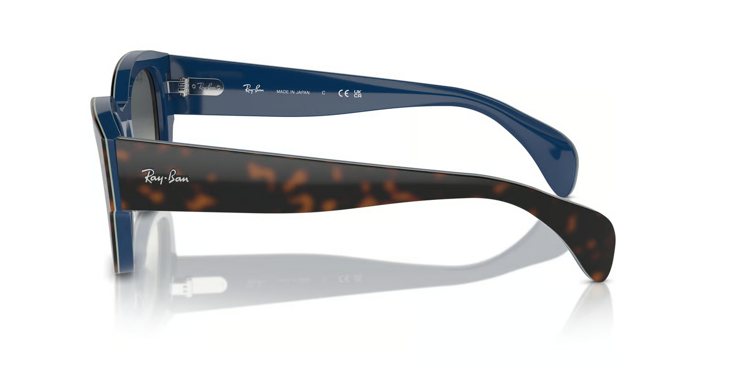 Ray-Ban RB7681SF Jorge Sunglasses