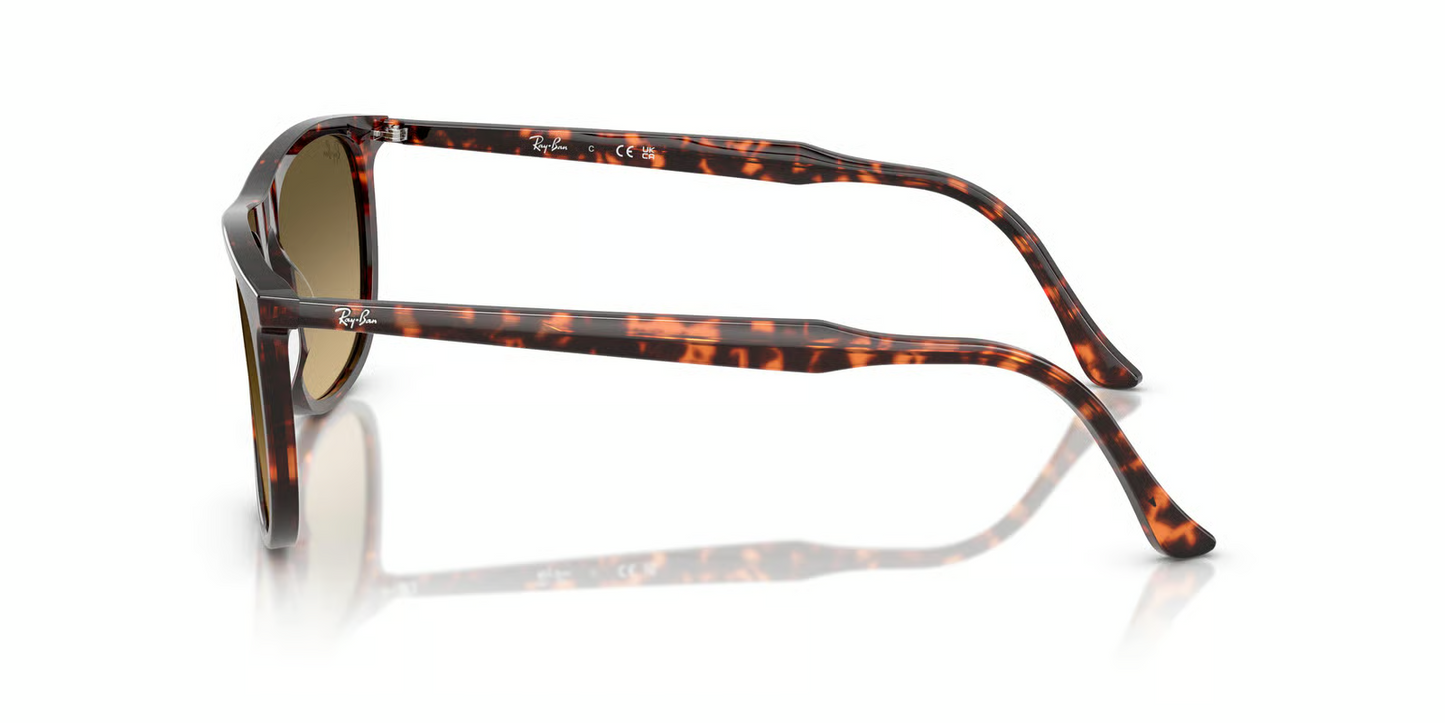Ray-Ban RB2216F Sunglasses