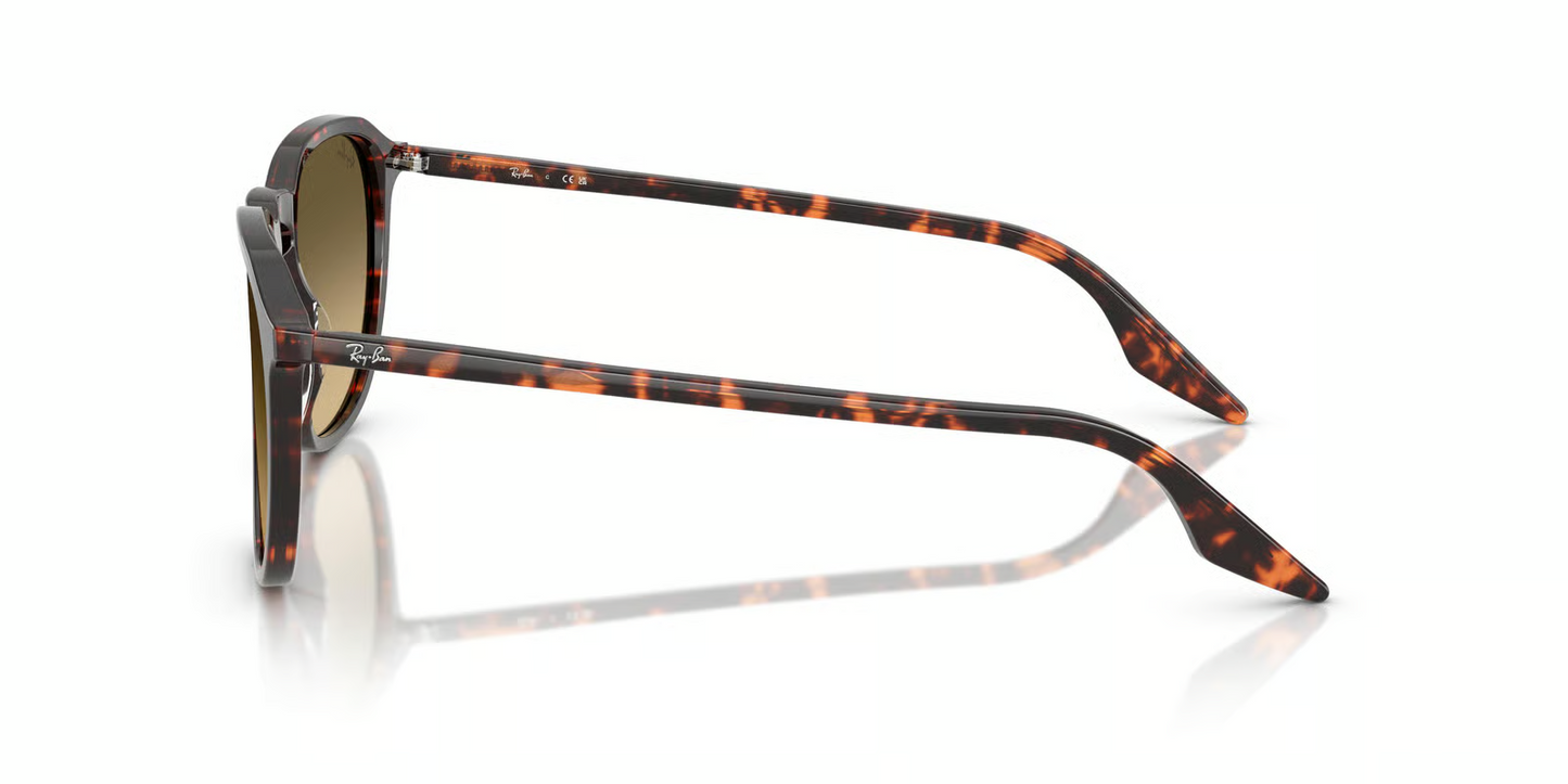 Ray-Ban RB2203 Sunglasses
