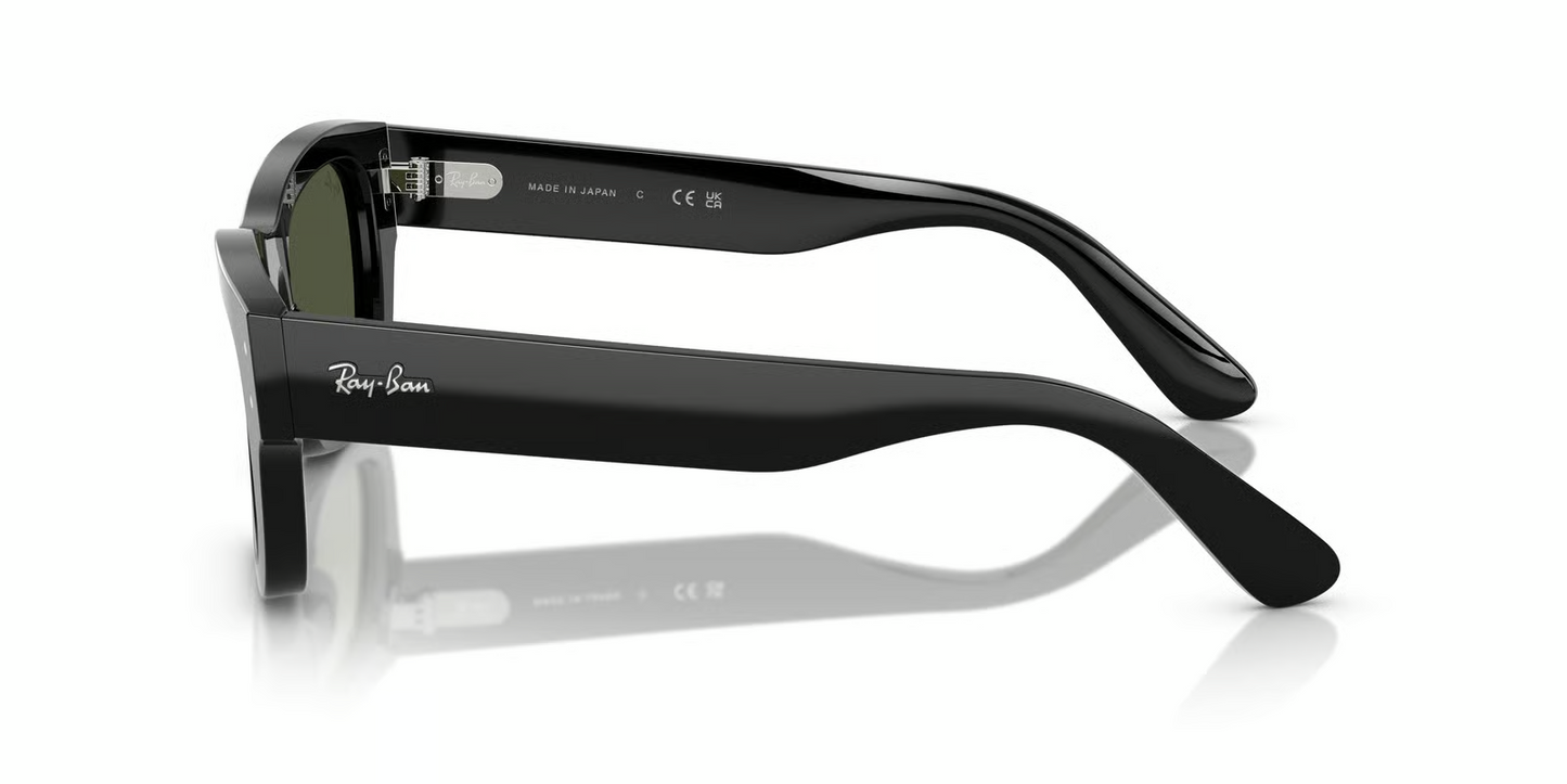 Ray-Ban RB7683S Joseph Sunglasses