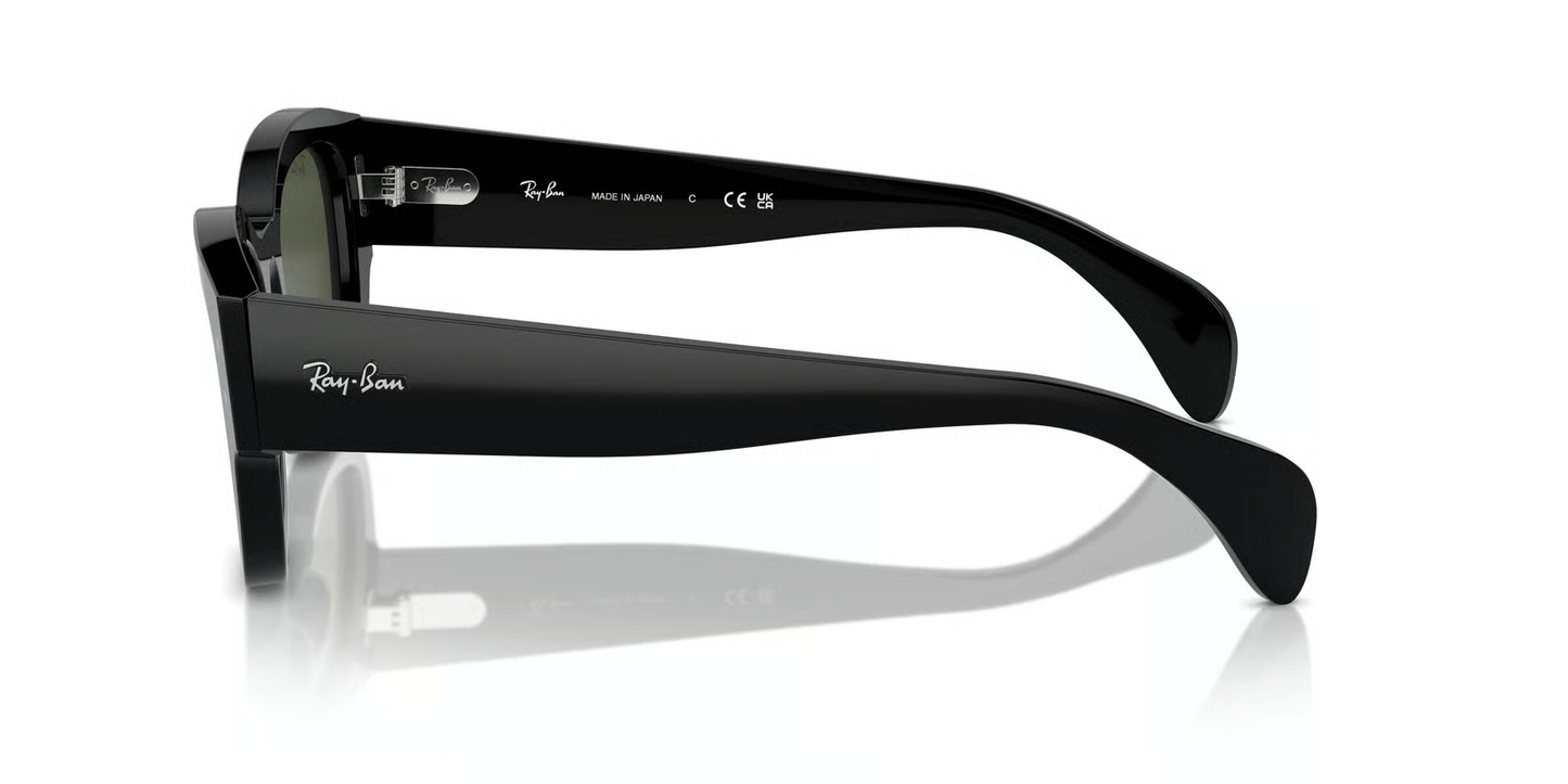 Ray-Ban RB7681SF Jorge Sunglasses