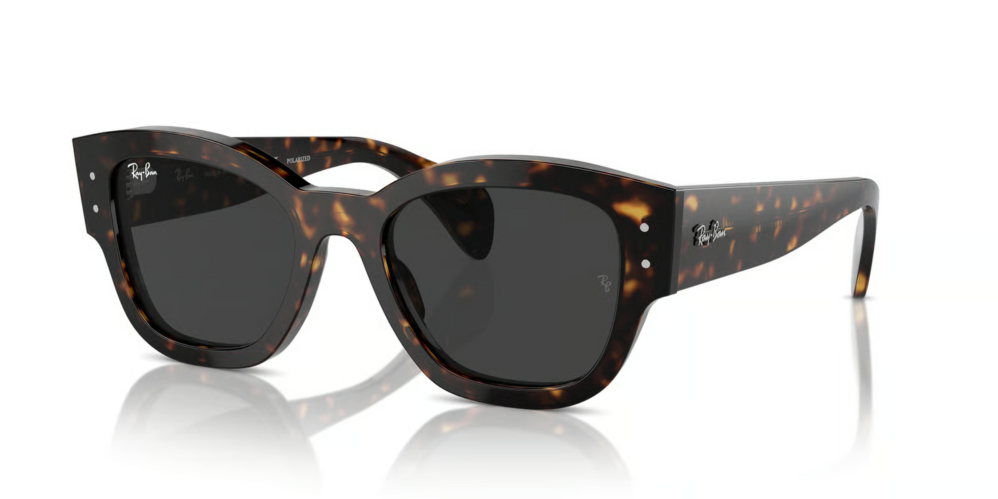 Ray-Ban RB7681SF Jorge Sunglasses