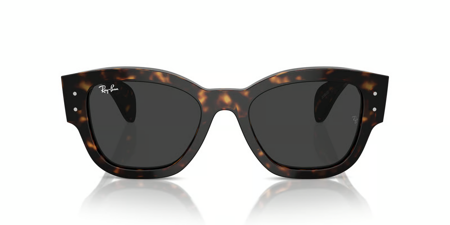 Ray-Ban RB7681SF Jorge Sunglasses