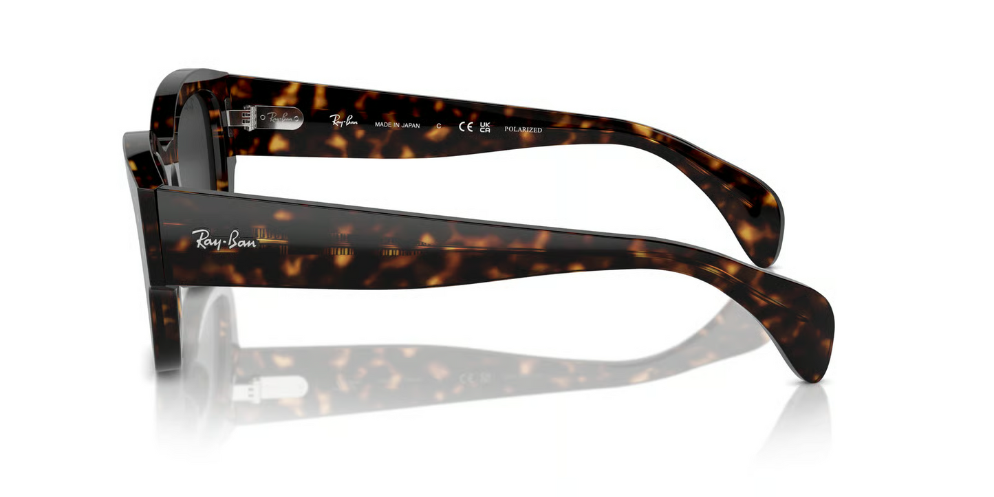 Ray-Ban RB7681SF Jorge Sunglasses