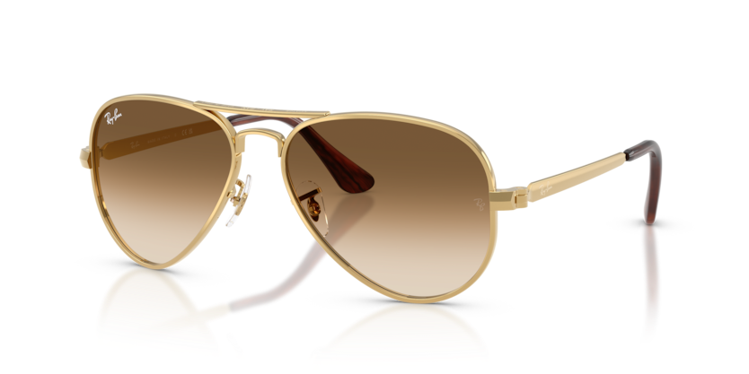 Ray-Ban RB3925 Aviator Max Sunglasses