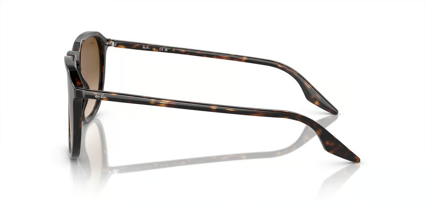 Ray-Ban RB2203 Sunglasses
