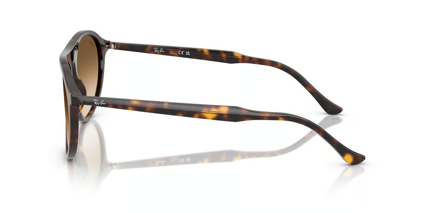 Ray-Ban RB2215F Sunglasses