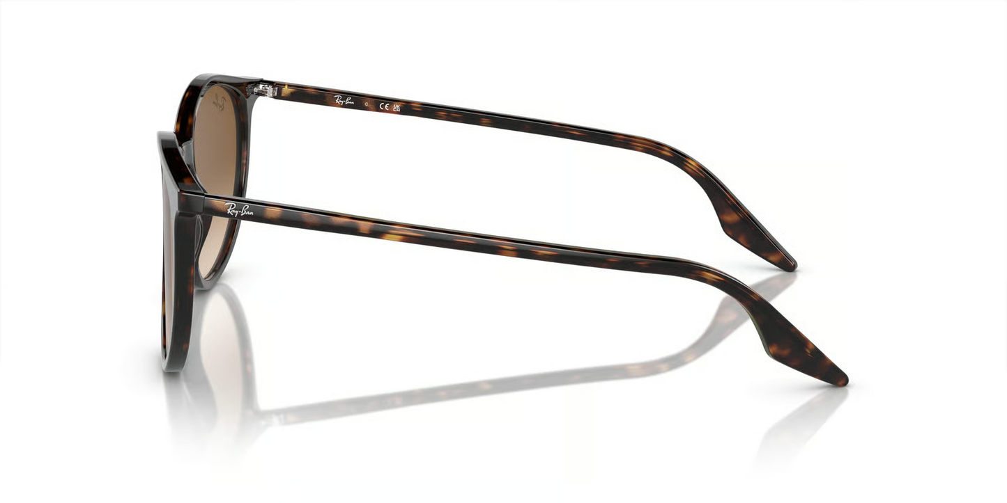 Ray-Ban RB2204 Sunglasses