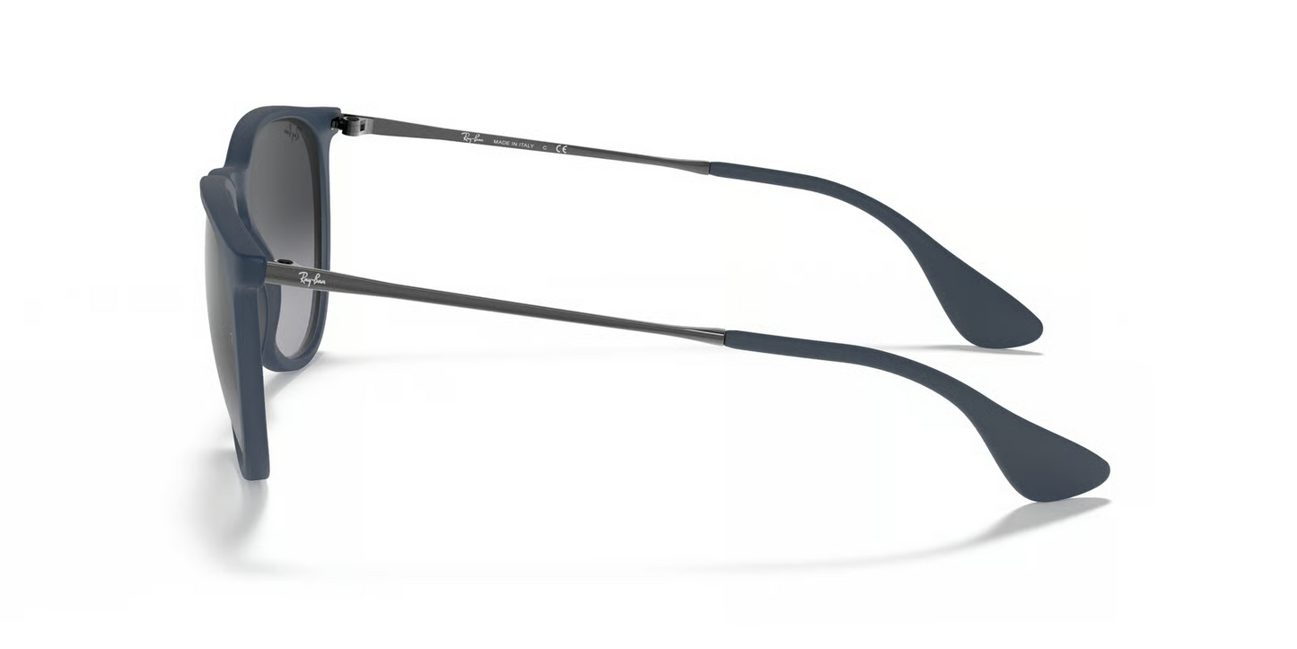 Ray-Ban RB4171 Erika Sunglasses