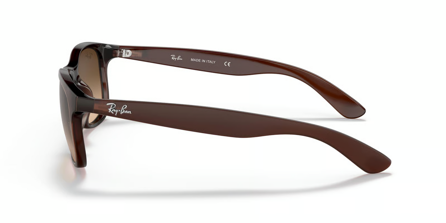 Ray-Ban RB4202 Andy Sunglasses