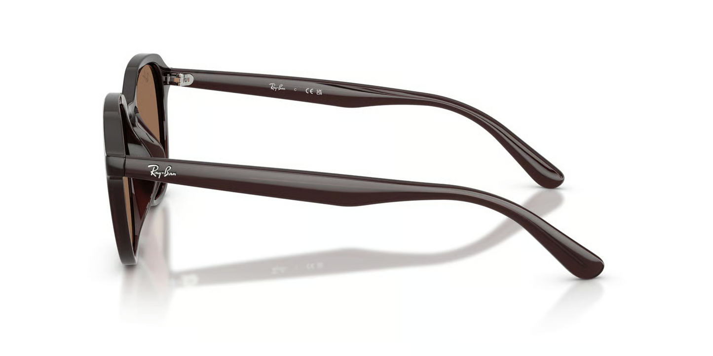 Ray-Ban RB4459D Sunglasses