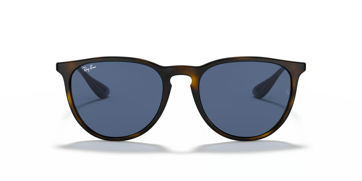 Ray-Ban RB4171 Erika Sunglasses