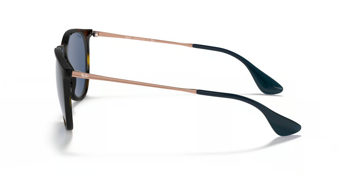 Ray-Ban RB4171 Erika Sunglasses