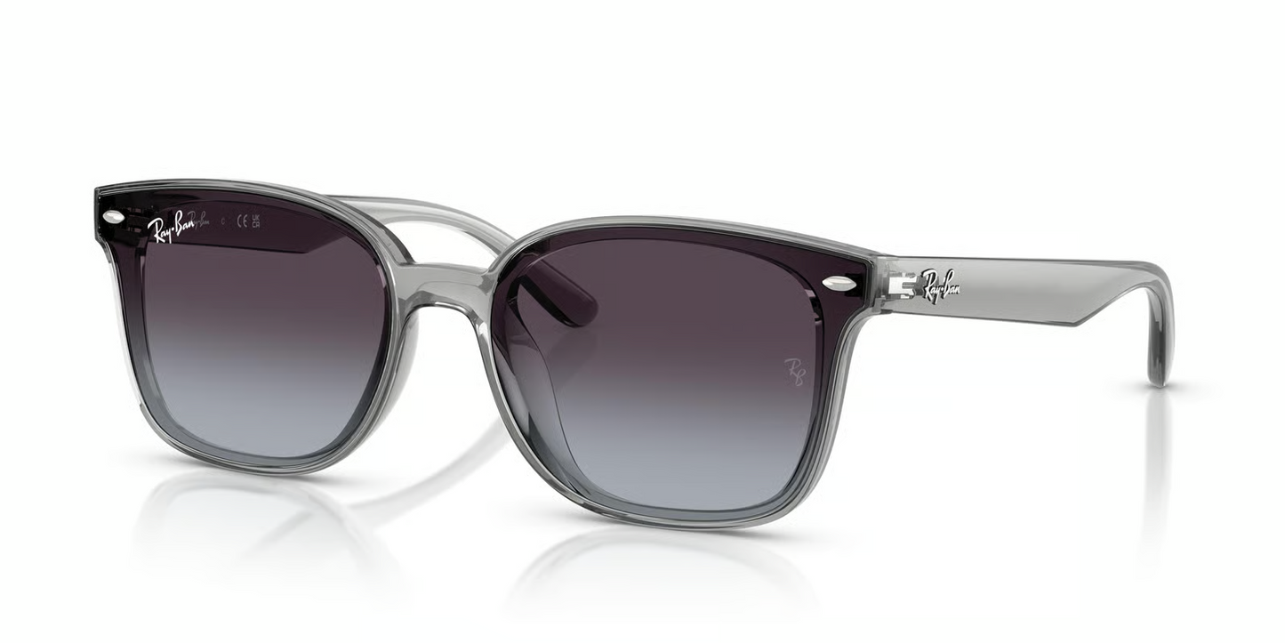 Ray-Ban RB4461D Sunglasses