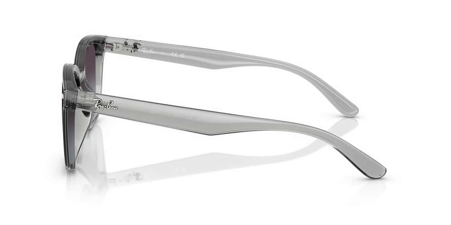 Ray-Ban RB4461D Sunglasses