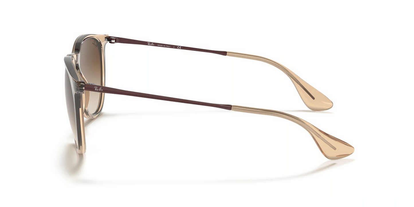 Ray-Ban RB4171 Erika Sunglasses