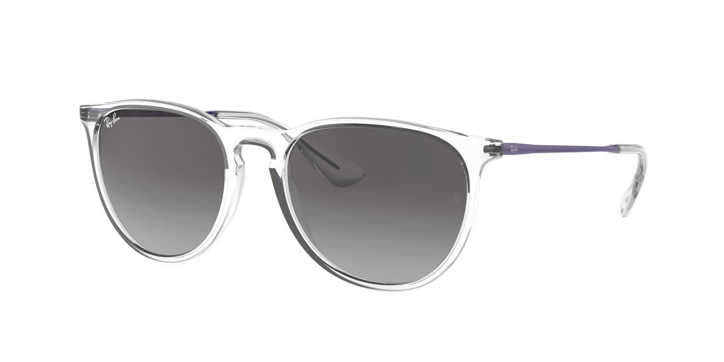 Ray-Ban RB4171 Erika Sunglasses