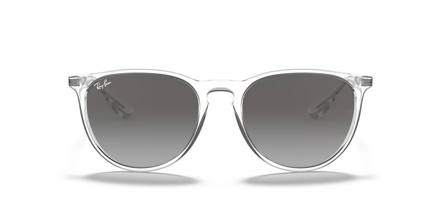 Ray-Ban RB4171 Erika Sunglasses