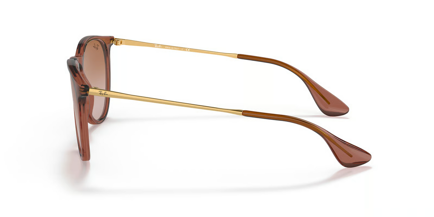 Ray-Ban RB4171 Erika Sunglasses