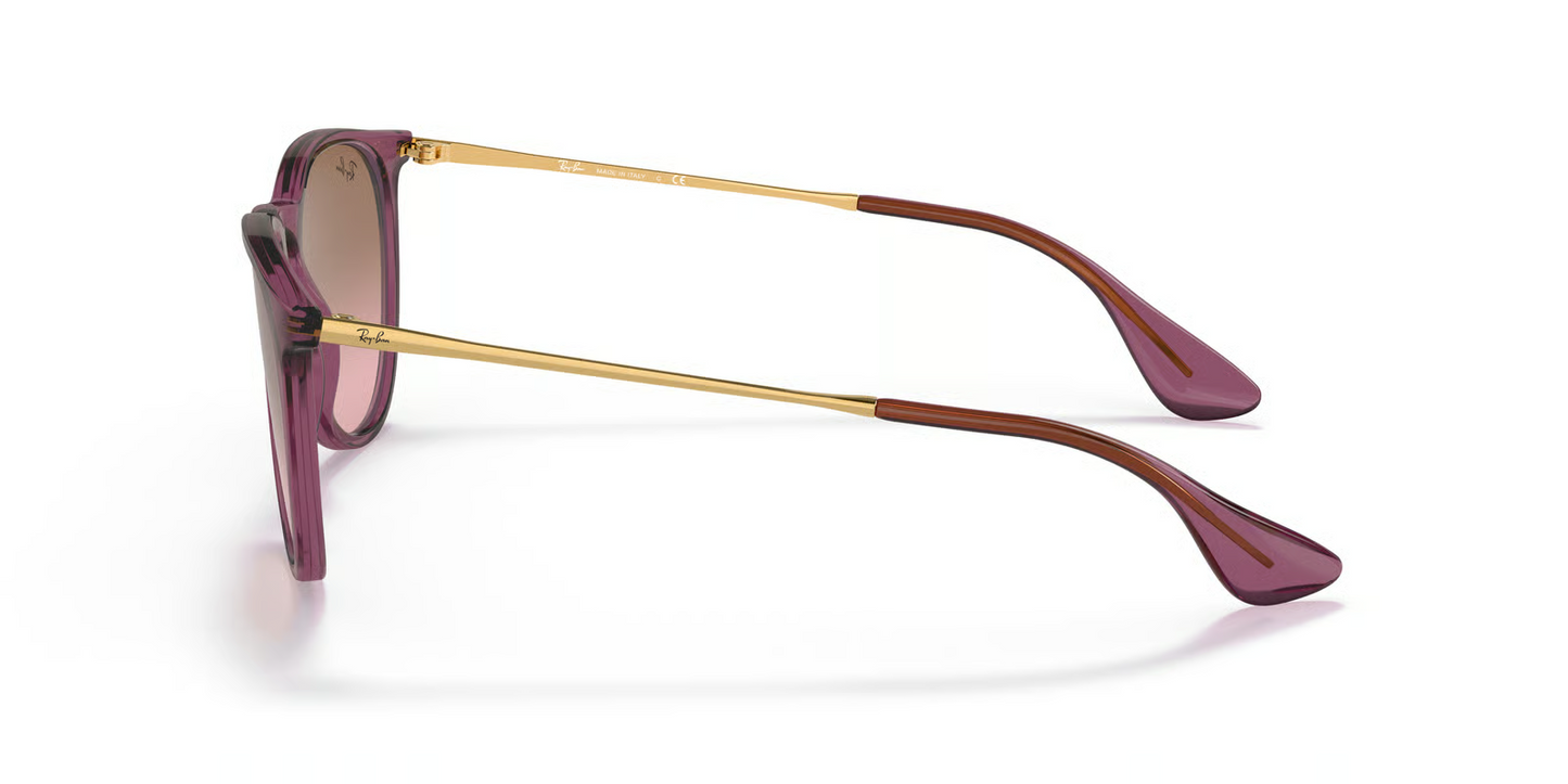 Ray-Ban RB4171 Erika Sunglasses
