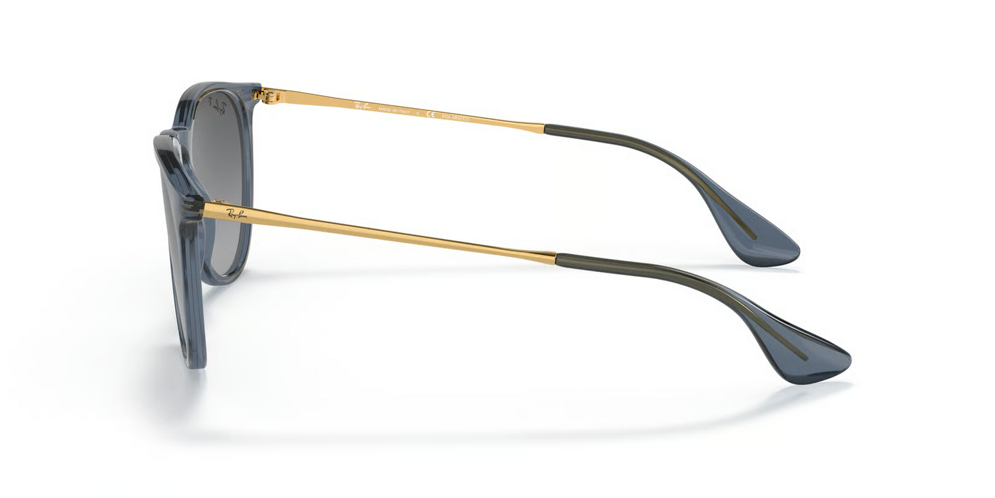 Ray-Ban RB4171 Erika Sunglasses