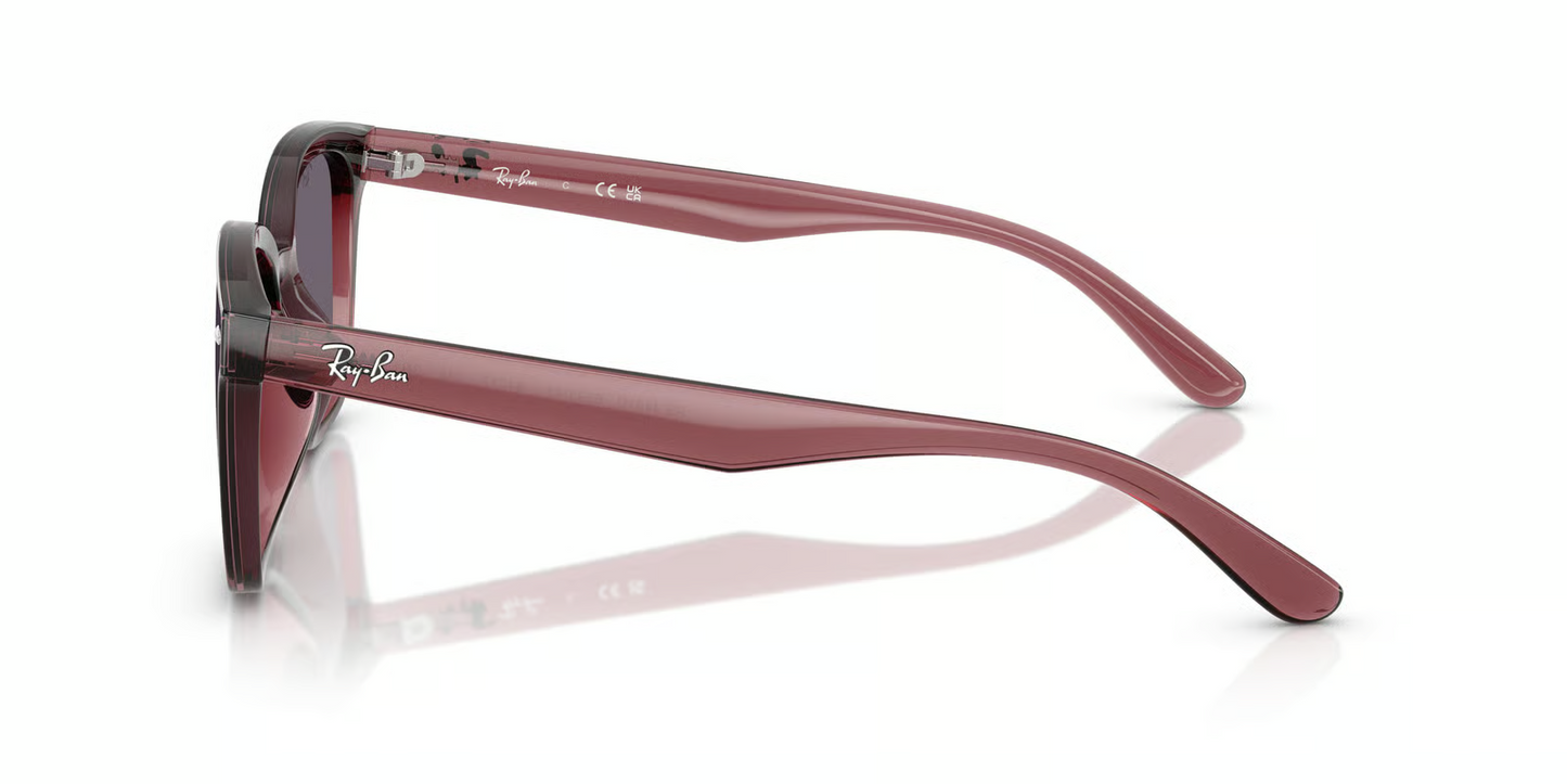 Ray-Ban RB4461D Sunglasses