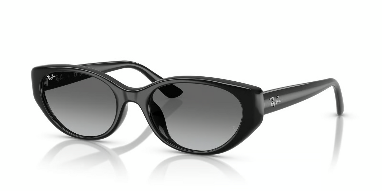 Ray-Ban RB4457D Sunglasses