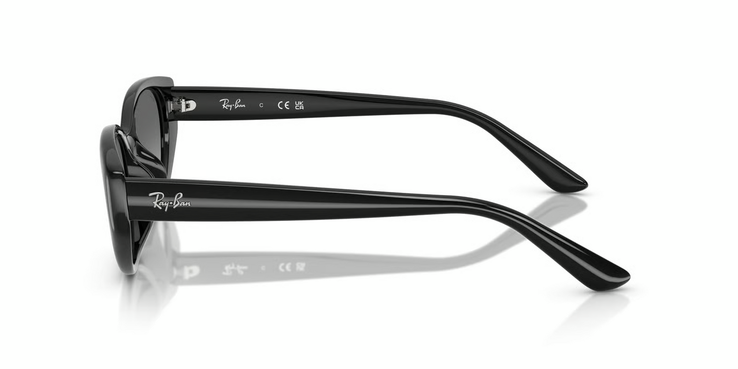 Ray-Ban RB4457D Sunglasses