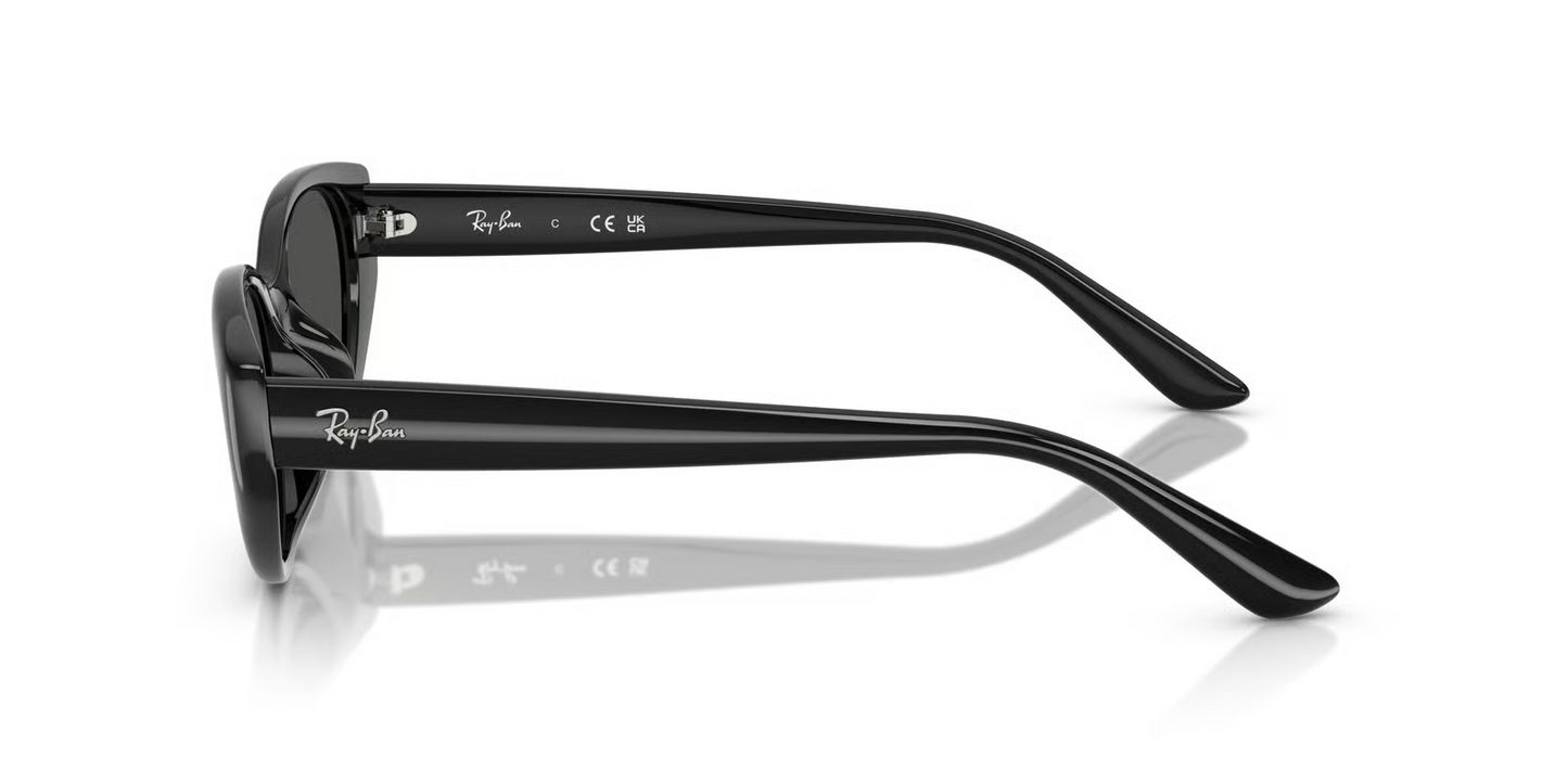 Ray-Ban RB4457D Sunglasses