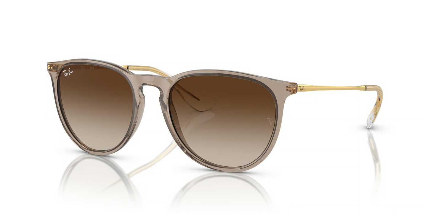 Ray-Ban RB4171 Erika Sunglasses