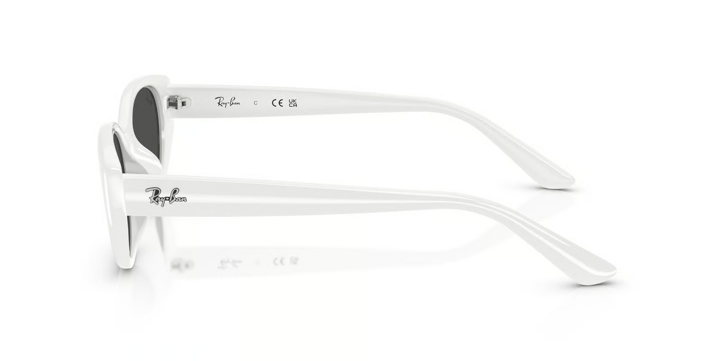 Ray-Ban RB4457D Sunglasses