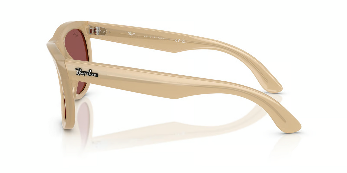 Ray-Ban RBR0502S Wayfarer Reverse Sunglasses