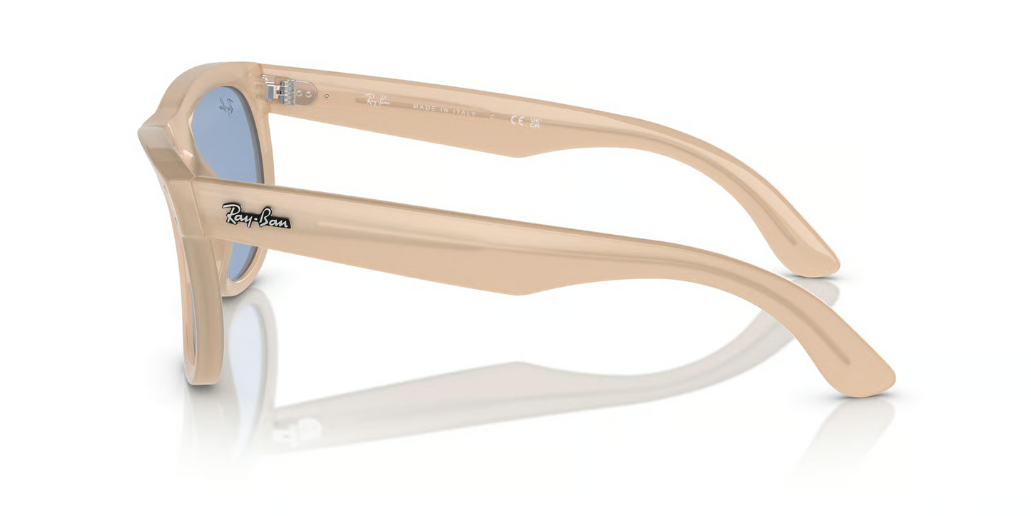 Ray-Ban RBR0502S Wayfarer Reverse Sunglasses